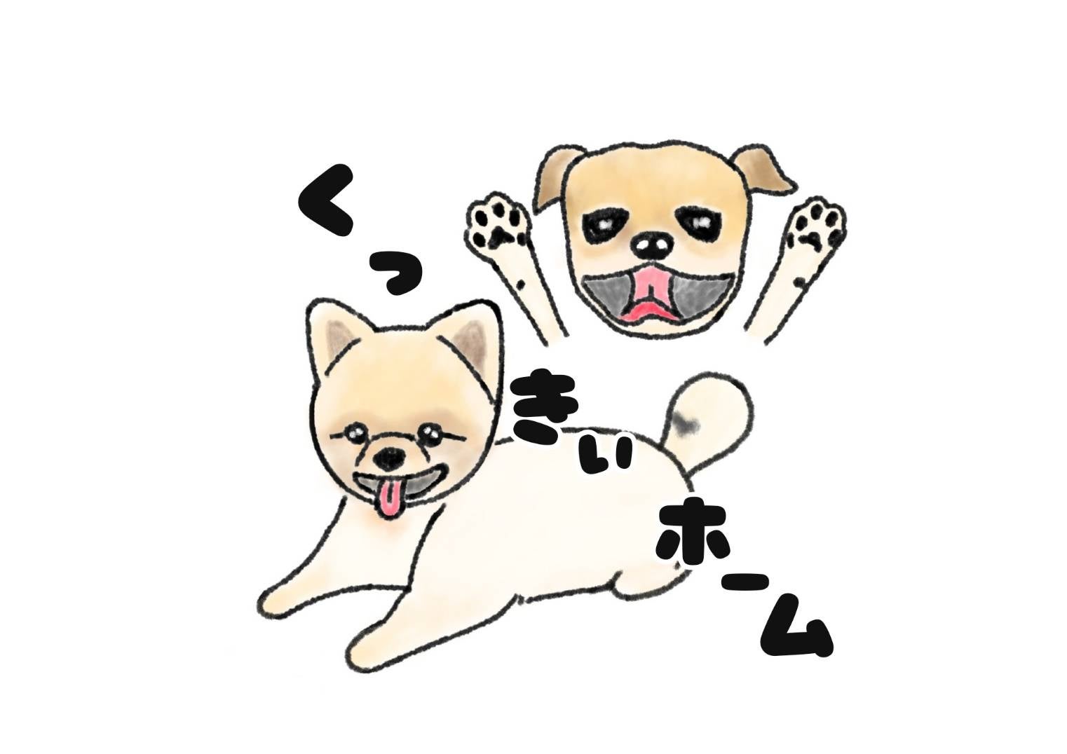 の画像